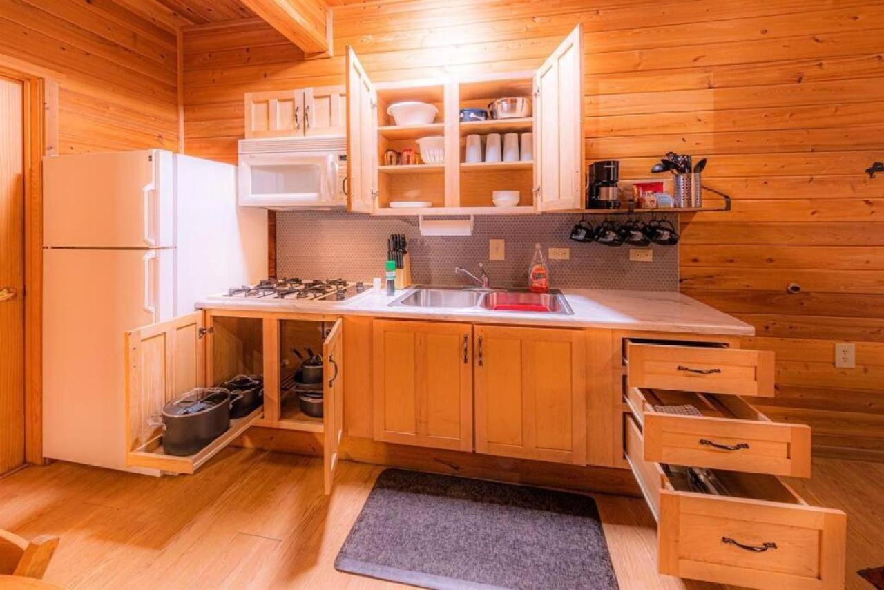פייסון Cabin #3 Rainbow Trout - Pet Friendly- Sleeps 6 - Playground & Game Room מראה חיצוני תמונה